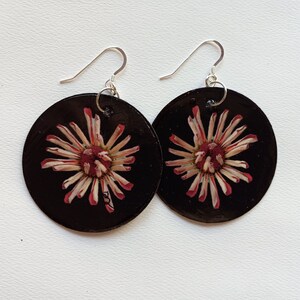 Beige Orange Zinnia