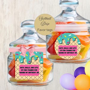 Softball Geburtstags Favor Tag, Softball Sport Thema Party, Dankeschön Tag für Mädchen, Softball Party Dekor, Instant Download