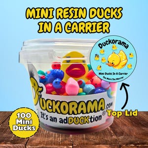 May include: A clear plastic container filled with colorful mini resin ducks and other small shapes. The container has a lid and a label that says "Duckorama" and "Mini Ducks In A Carrier". The text "100 Mini Ducks" is also visible.