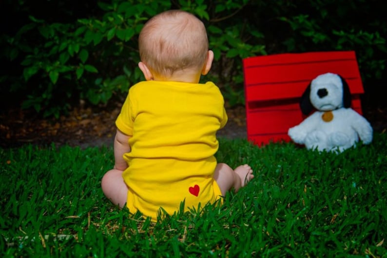 READY TO SHIP Halloween cosplay costume or baby shower gift image 6