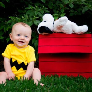 READY TO SHIP Halloween cosplay costume or baby shower gift image 5