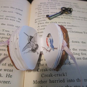 Nutshell Tiny Bird Book Miniatue 2X2 inch Design No. 1953. Entry to ETSY Design Award Competition June 2023 Bild 7