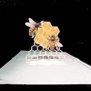 Carte pop-up BeeKeeper miel d'abeille 5 X 7 - Article 1903