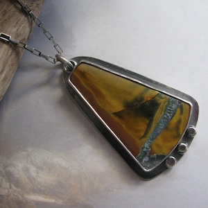 Petrified Wood Pendant, Sterling Silver Pendant Necklace, Large Brown Pendant, Artisan, Handmade, Unique