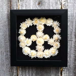 Vintage Peace Strawflowers
