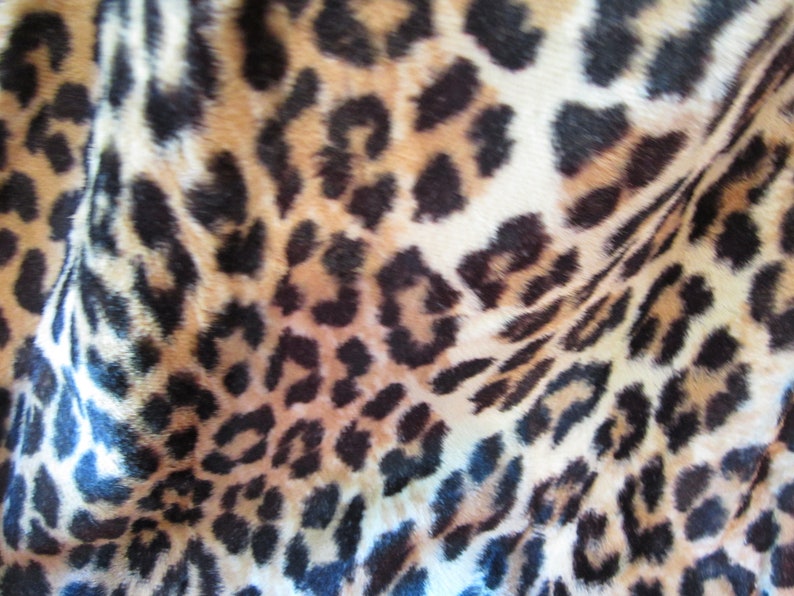 animal fabuleux 5 lettres