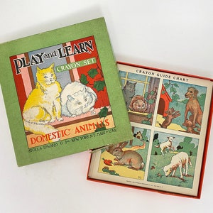 Set di pastelli a cera "Gioca e impara" del 1925, Animali domestici – Stoll & Edwards Co. Inc. New York – Scatola originale, bellissime illustrazioni