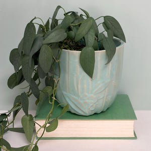 Può includere: Un vaso in ceramica azzurro chiaro con una trama a coste verticali e dettagli floreali in rilievo, contenente una pianta verde ricadente con foglie appuntite. Il vaso poggia su un libro verde spesso e rettangolare con pagine color crema.