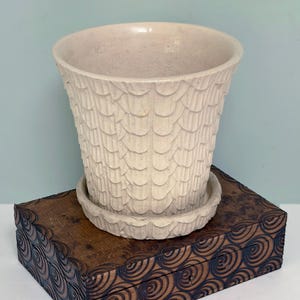 May include: A cream-colored ceramic plant pot with a matching saucer, featuring a repeating embossed scale-like pattern across the exterior surface. The pot has a wide, open circular rim and a tapered body that narrows toward the base.