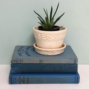 Op de afbeelding: Een crèmekleurige keramische plantenpot met bijpassende schotel, voorzien van een verhoogd Grieks sleutelpatroon en een craquelé afwerking, met daarin een groene vetplant. De pot staat op een stapel van twee blauwe boeken met zichtbare tekst.