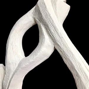 Pode incluir: Uma escultura branca com uma forma texturizada semelhante a um ramo e acabamento mate. O objeto apresenta sulcos e cristas lineares intrincados que imitam a apar&ecirc;ncia dos veios da madeira natural, criando uma estrutura org&acirc;nica conectada.