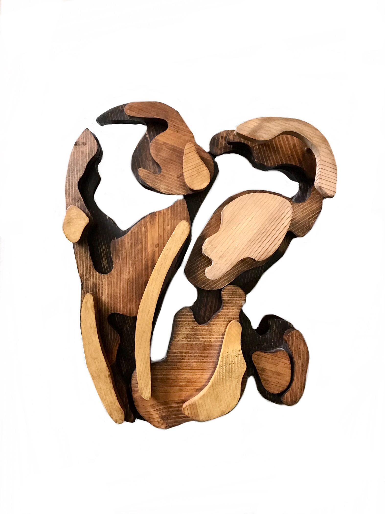Mid Century Vintage 1970s Carved Wood Abstract Biomorphic Wall