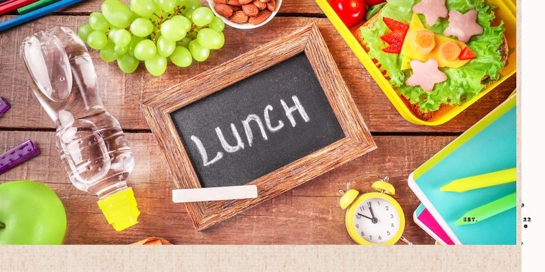 School Lunch Ideas Recipe Book Students School Lunch Healthy  Kids Fun School Lunch Recipes Picky Eater Food