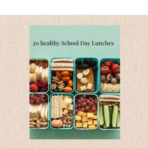 School Lunch Ideas Recipe Book Students School Lunch Healthy  Kids Fun School Lunch Recipes Picky Eater Food