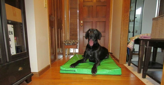 strong dog bed covers