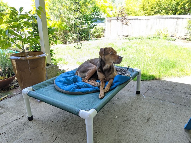 Washable Dog Bed Raised Bed PVC Cot Durable Canvas Dog Etsy