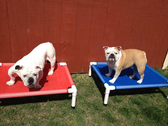 Outdoor Dog Beds  Kuranda Dog Beds®