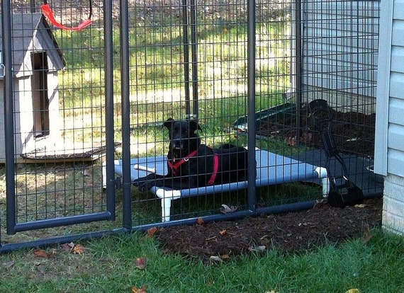 kennel cots