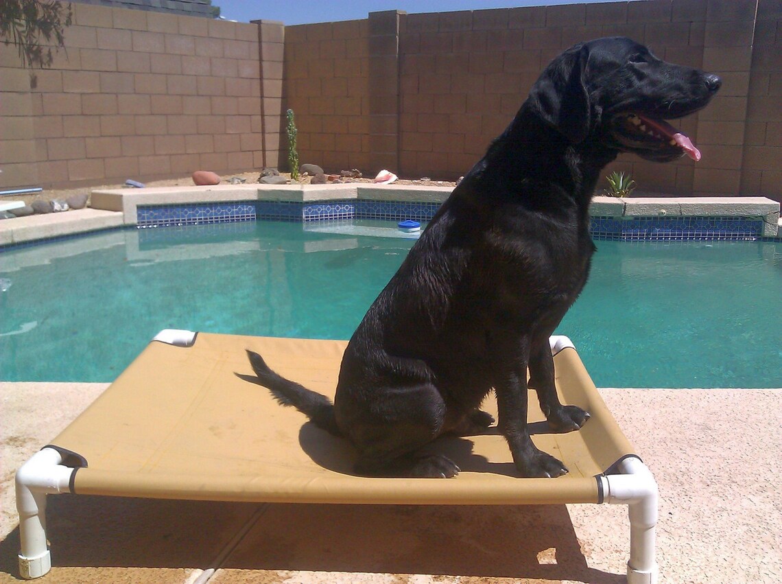 Dog Beds Custom Canvas Dog Beds Dog Cot PVC Pet Beds 15 Etsy