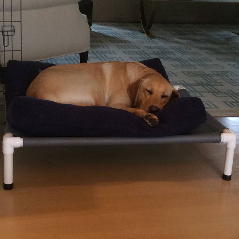 Elevated Dog Bed 4 Sizes 15 Canvas OR 11 Mesh Colors PVC Frame Etsy