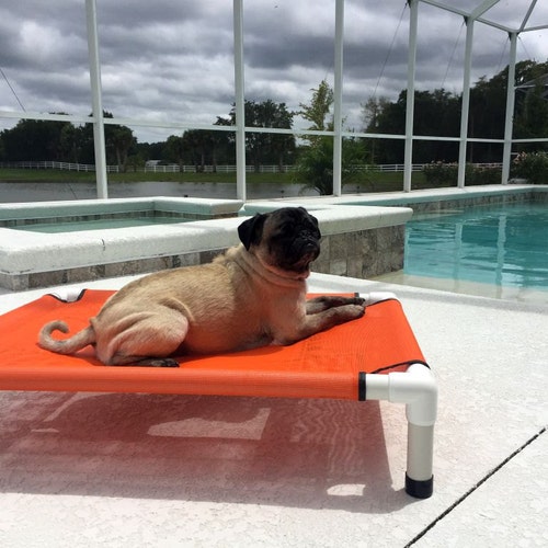 outdoor patio dog bed