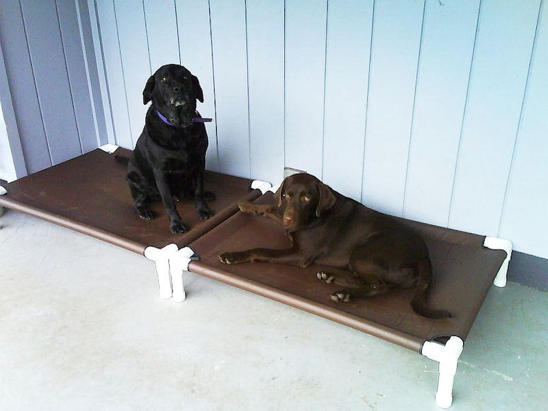 Large Elevated Bed Medium Dog Bed Outdoor Dog Cot PVC Pipe Etsy