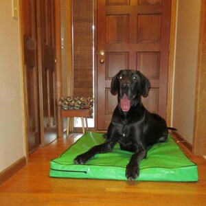 May include: A black dog with its tongue hanging out lies on a green dog bed in a hallway. The dog bed is on a wooden floor.