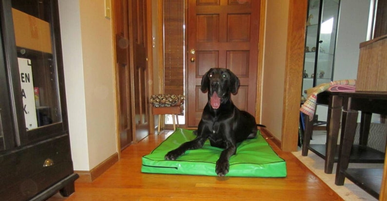 May include: A black dog with its tongue hanging out lies on a green dog bed in a hallway. The dog bed is on a wooden floor.