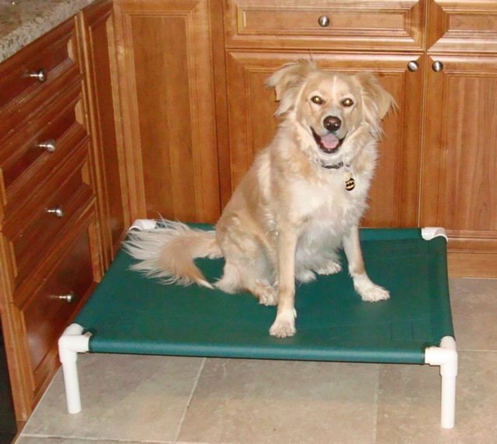 Raised Portable Dog Cot Outside Inside Pet Beds 28x36 In 15 Etsy