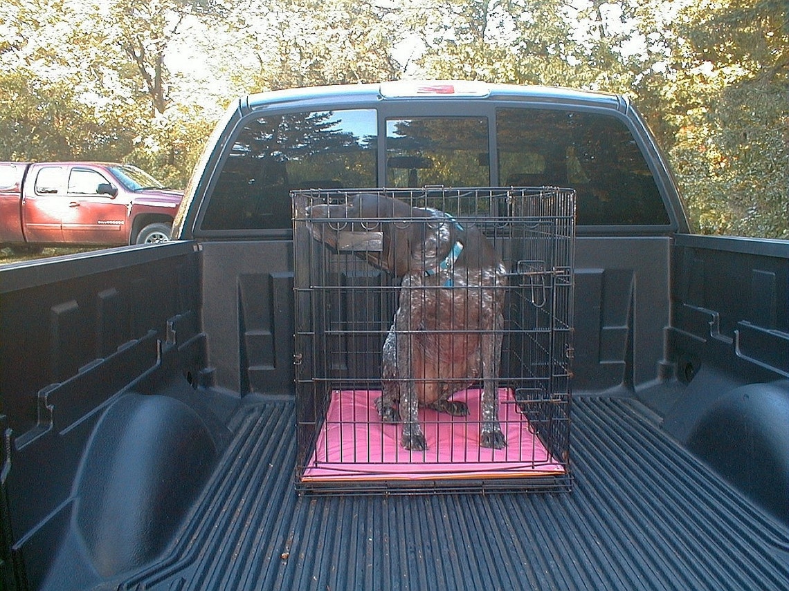 Dog Beds for Hunting Dogs Padded Crate Mat Bed High Tear Etsy