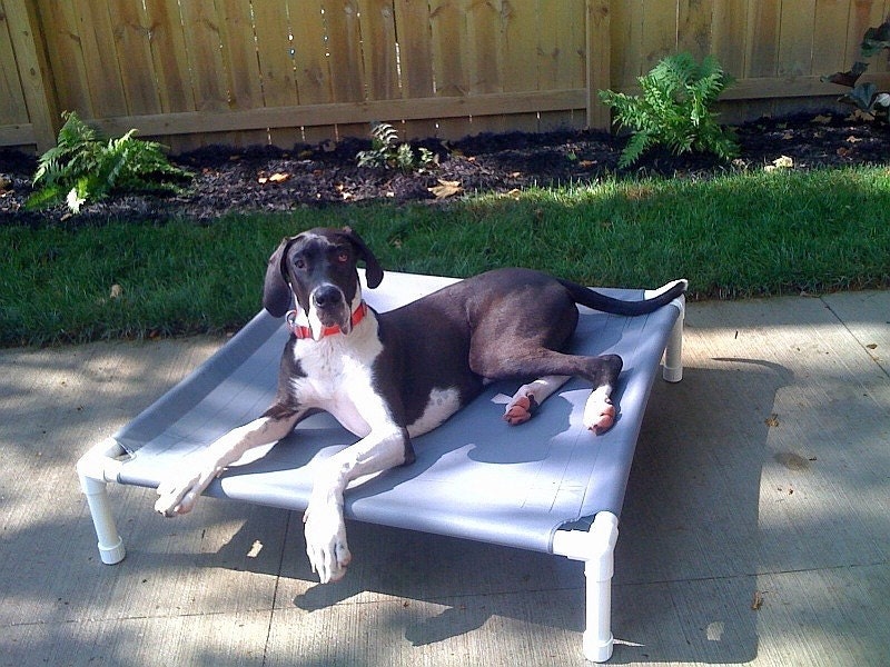 Large Dog Bed Raised Dog Bed Medium Bed Large Dog Bed Cot - Etsy