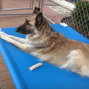 Large Elevated Bed, Medium Dog Bed, Outdoor Dog Cot PVC Pipe Frame Pet Hammock, Cat Bed,  Big Pet Bed 15 Colors Dog Bed Cover Canvas 4 Sizes