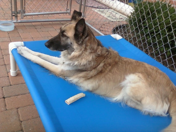 pvc elevated dog bed