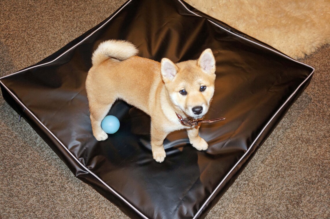 100 Waterproof Dog Pillow Cushion Cover Dig Proof Cover Dog Etsy