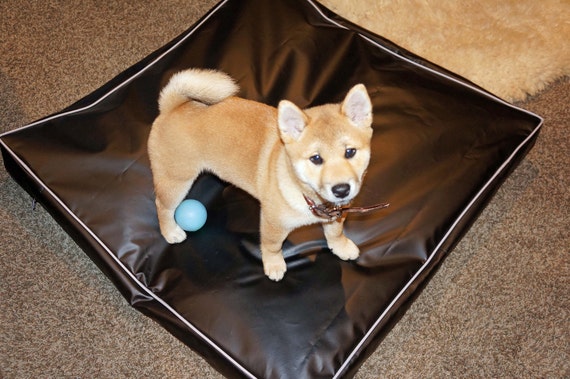 dig proof dog bed
