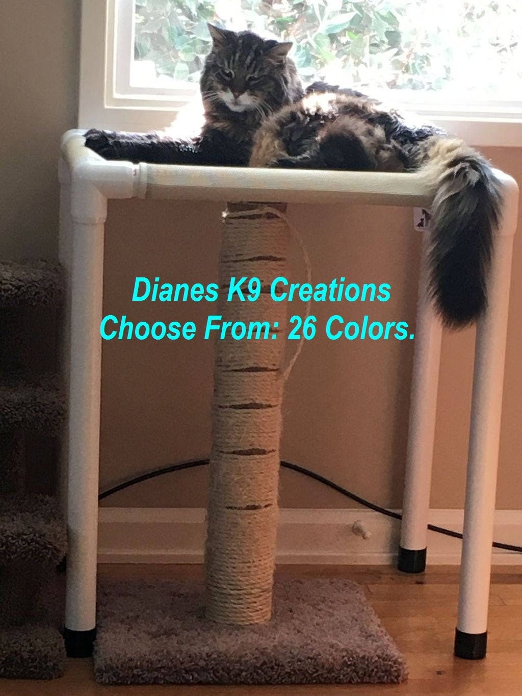 small dog window perch