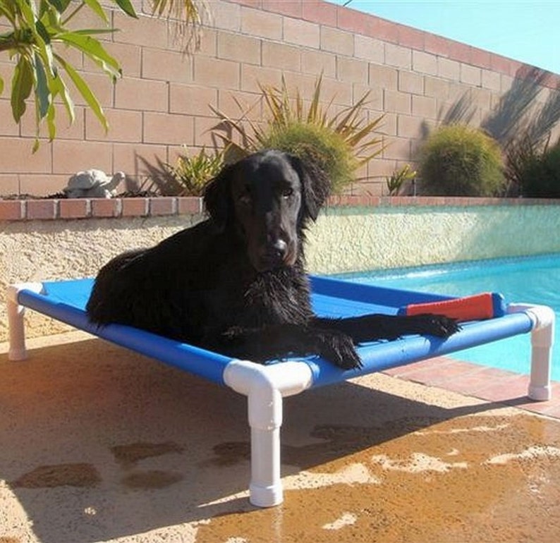 Washable Dog Bed Raised Bed PVC Cot Durable Canvas Dog Etsy