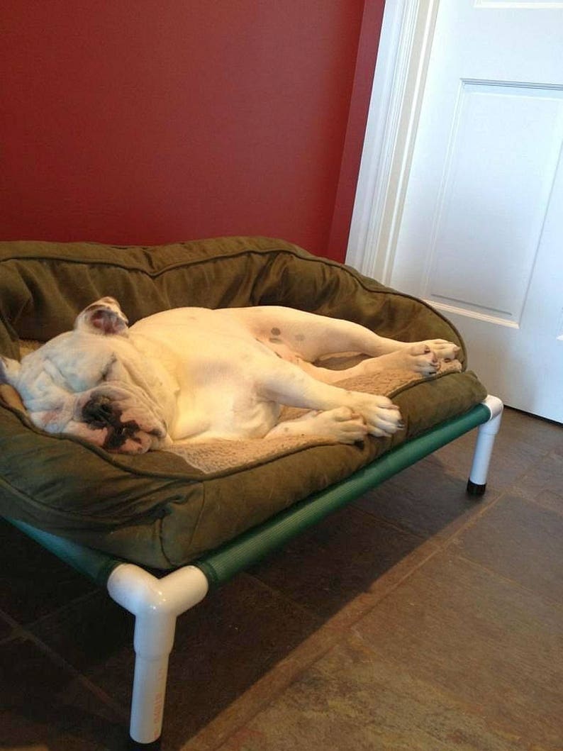 Large Elevated Bed Medium Dog Bed Outdoor Dog Cot PVC Pipe Etsy