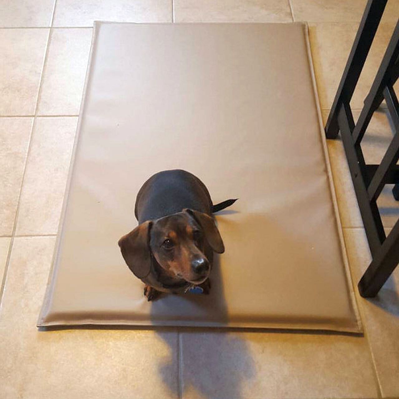 Crate Pad With Or Without 4 Grommets Tie Down Dog Crate Dog Etsy