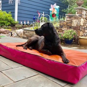 baby mattress for dog