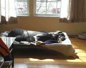 great dane beds