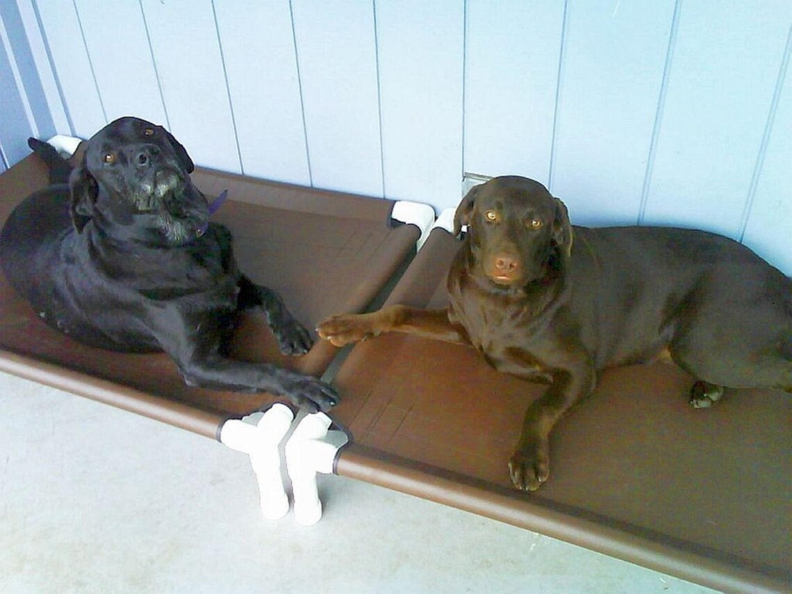 Large Dog Breed Dog Beds Outdoor Dog Beds Large Mesh Dog Etsy