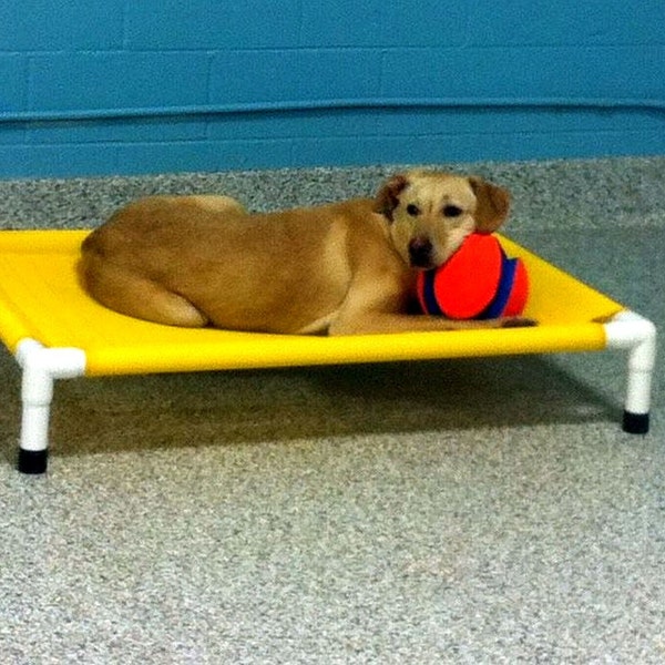 Pvc Dog Bed Etsy