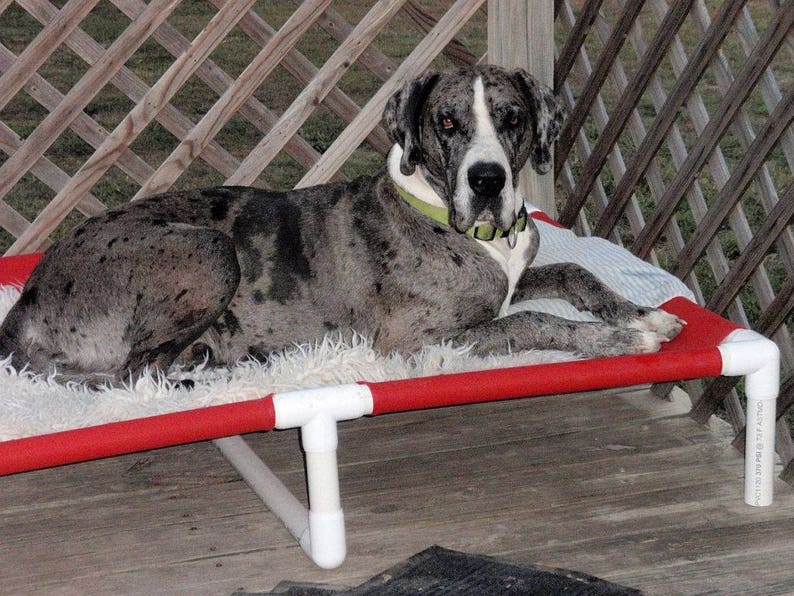 Dog Bed Extra Large Bed 38x55 Large Great Dane Dog Etsy