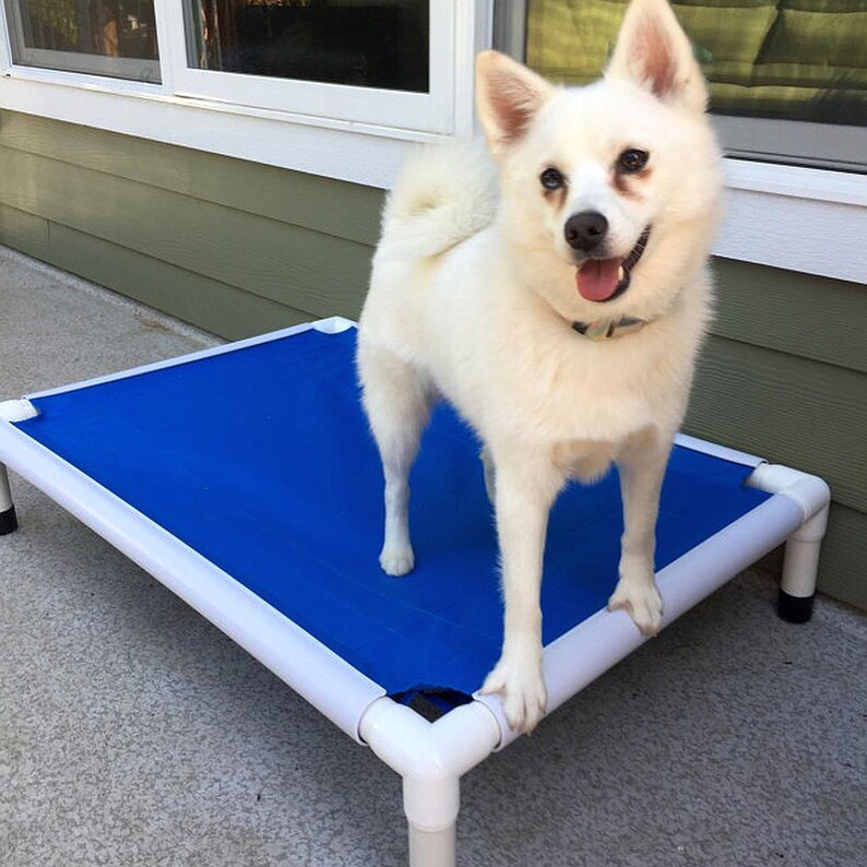 Chew Proof Dog Bed Chew Guards Included 4 Sizes 15 Canvas or Etsy