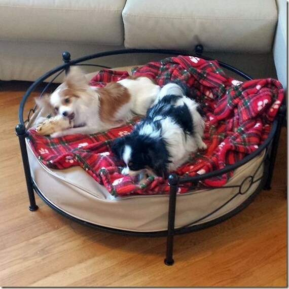 36 inch dog bed