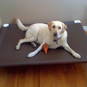 Large Dog Bed, Raised Dog Bed, Medium Bed, Large Dog Bed Cot Rust Proof PVC Pipe Cot, Outside Bed, 44x44 Canvas 15 Colors, Up To 130 Pounds.