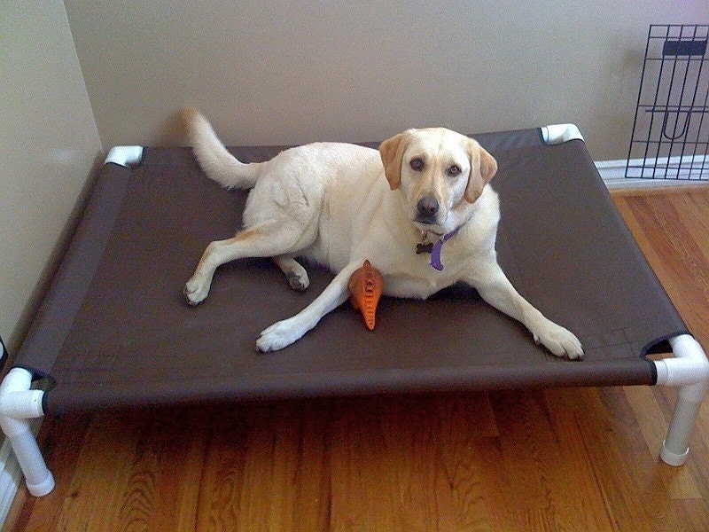 Dog bed out of pvc pipe 2025