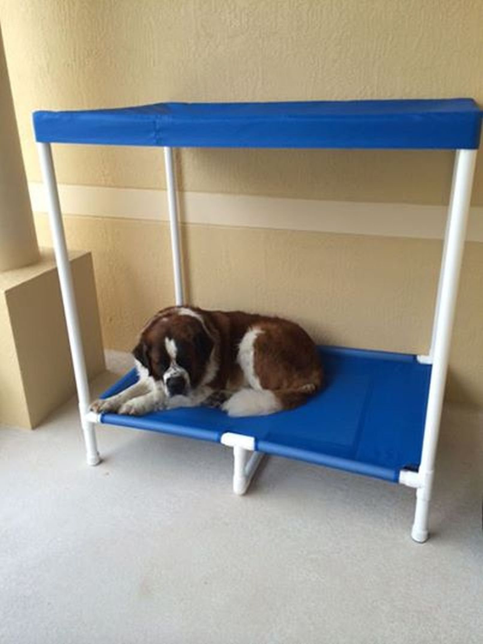 Extra Large Pvc Frame Dog Bed Cot With Middle Support Mesh Etsy