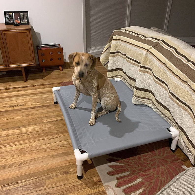Elevated Dog Bed 4 Sizes 15 Canvas OR 11 Mesh Colors PVC Frame Etsy